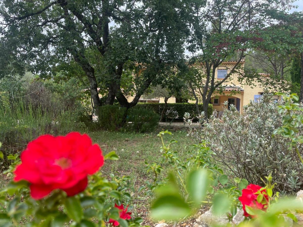 La Maison De La Cigale Forcalqueiret エクステリア 写真